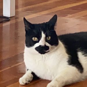 Meet your Posher, Simon